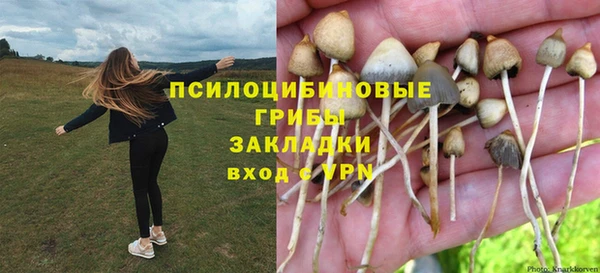 мдма Бородино