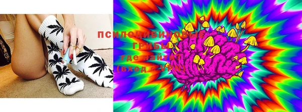 мдма Бородино