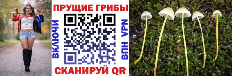 Купить где  Краснообск  Псилоцибиновые грибы ЛСД 